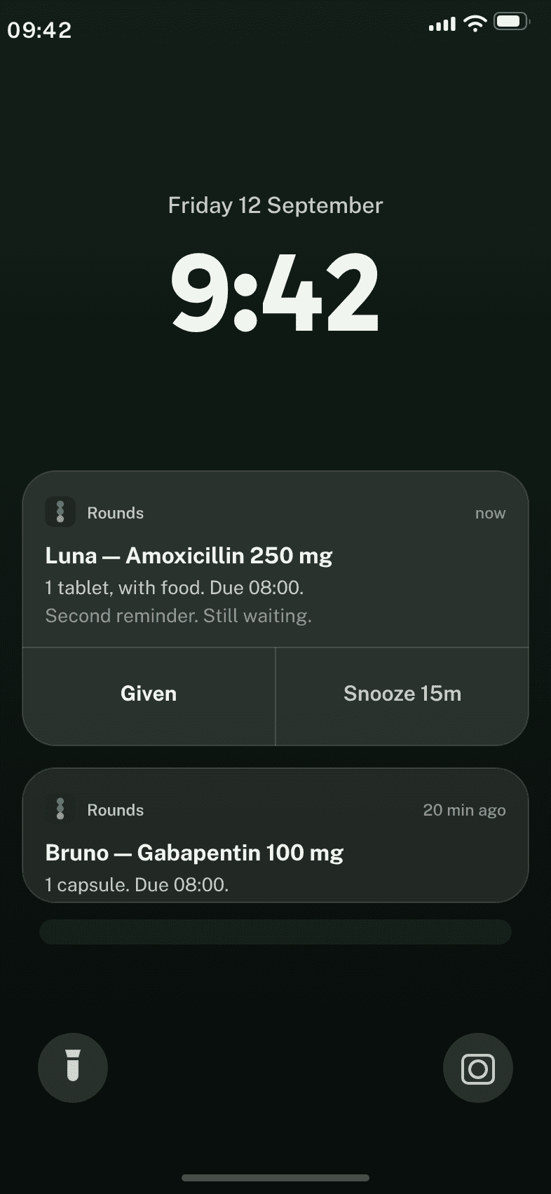 Lock screen notifications from Dog Rounds: “Luna — Amoxicillin 250 mg” with Given and Snooze 15m buttons, and “Bruno — Gabapentin 100 mg” below.
